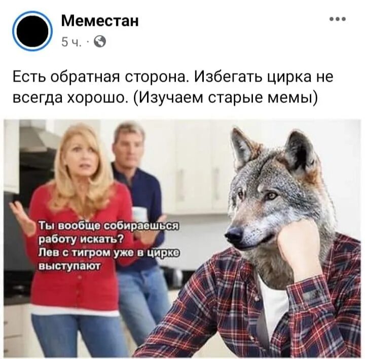 волк слаба лев и тигра. волк в цирке не выступает. волк слабее. лев не волк в цирке выступает. волк слабее льва.