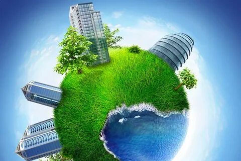 Economic environment