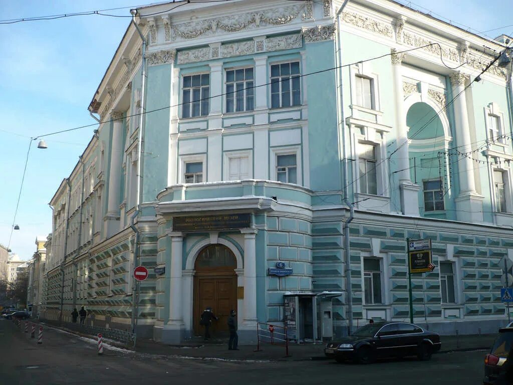 зоологический музей тюмгу. зоологический музей мгу москва большая никитская. зоологический музей мгу здание. зоологический музей в москве никитская. зоолог музей мгу.