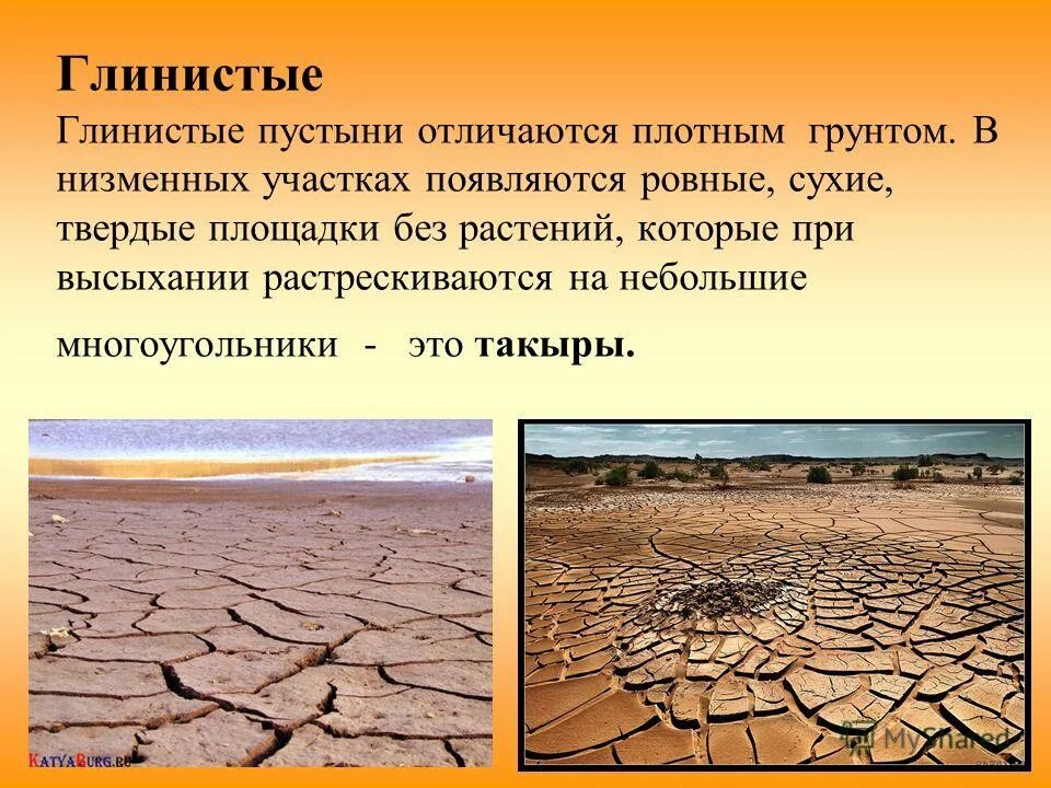 Климатический пояс пустынь в россии. Пустыни отличаются богатством почвенных ресурсов. Тип почв в полупустынях россии. Природные зоны пустыни и полупустыни. Пустыни отличаются богатством почвенных ресурсов.