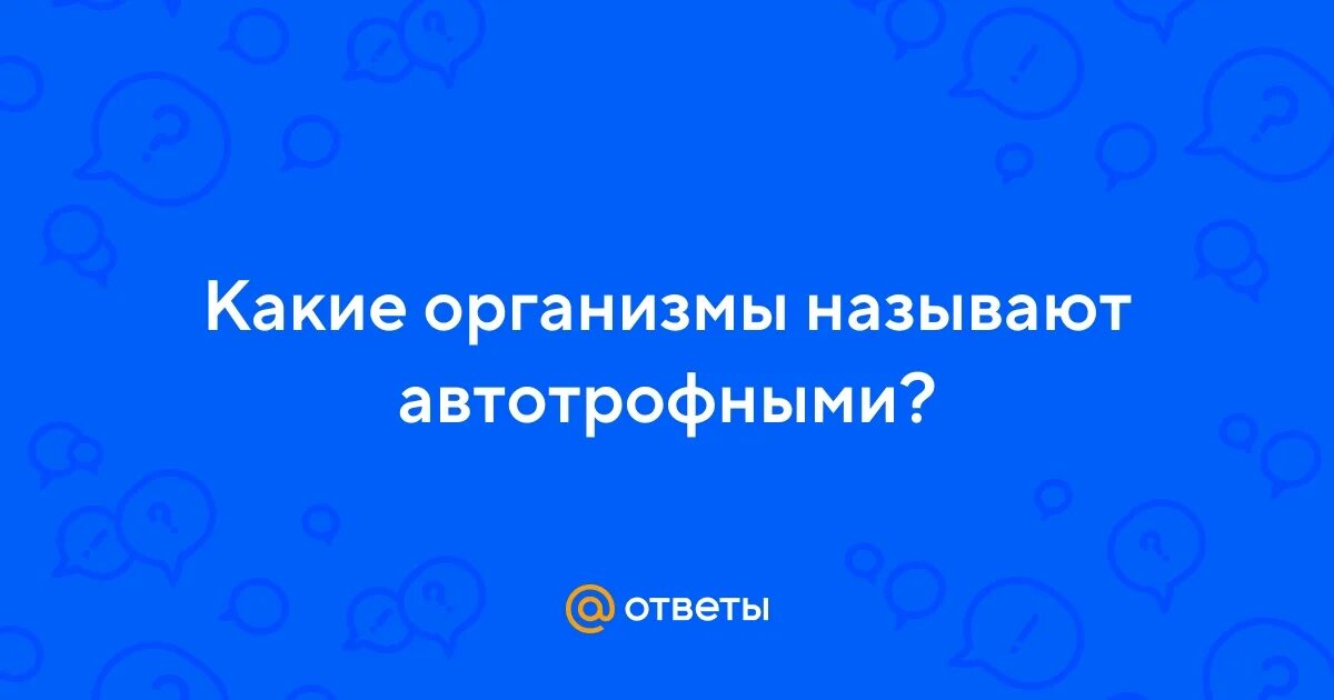 Питание животных и растений фото - Тоши Суши
