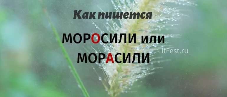 Слово заграница. Полдня как пишется. Пол дня или полдня. Пол дня или полдня как пишется. Полдня как пишется слитно.