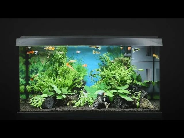 Juwel-84. Juwel 60. Аквариум juwel primo 70 led. Аквариум juwel primo 110. Аквариум juwel primo 70 led 70 л белый.
