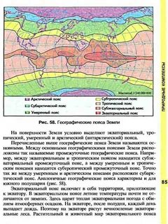В каком полушарии расположен субтропический пояс