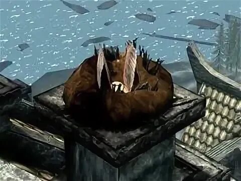 Перья ястреба скайрим. Череп костяного ястреба. Амулет костяного ястреба. Костяной ястреб. Костяной ястреб.