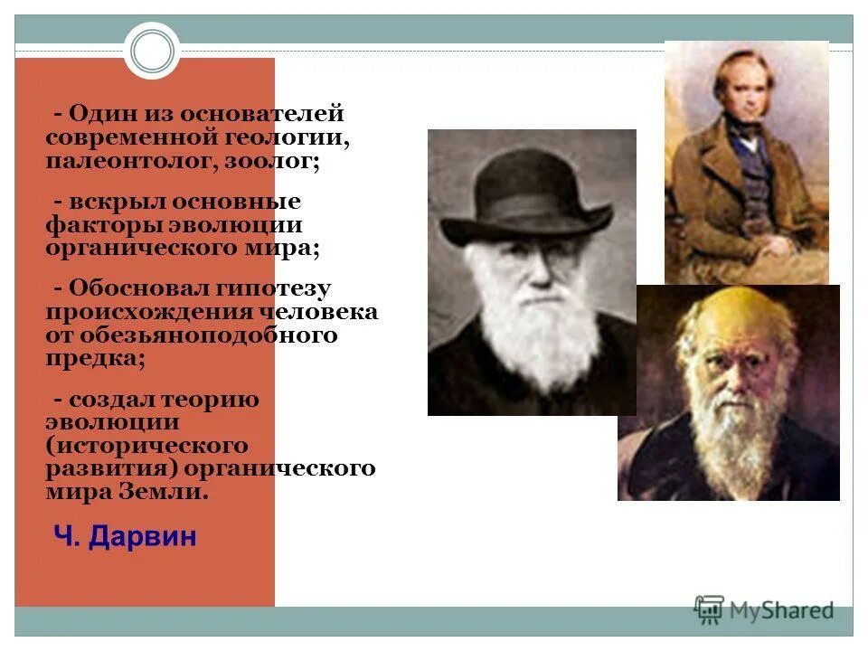 Основоположники синтетической теории эволюции. Современное эволюционное учение. Чарльз дарвин - основоположник эволюционного учения. Ч дарвин основоположник учения об эволюции. Основоположник эволюции.