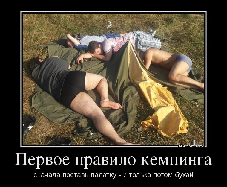 дачный отдых прикол. прикольные картинки с надписями прикольными. знай свое место женщина. я в отпуске. хаска вырыла весь картофель.