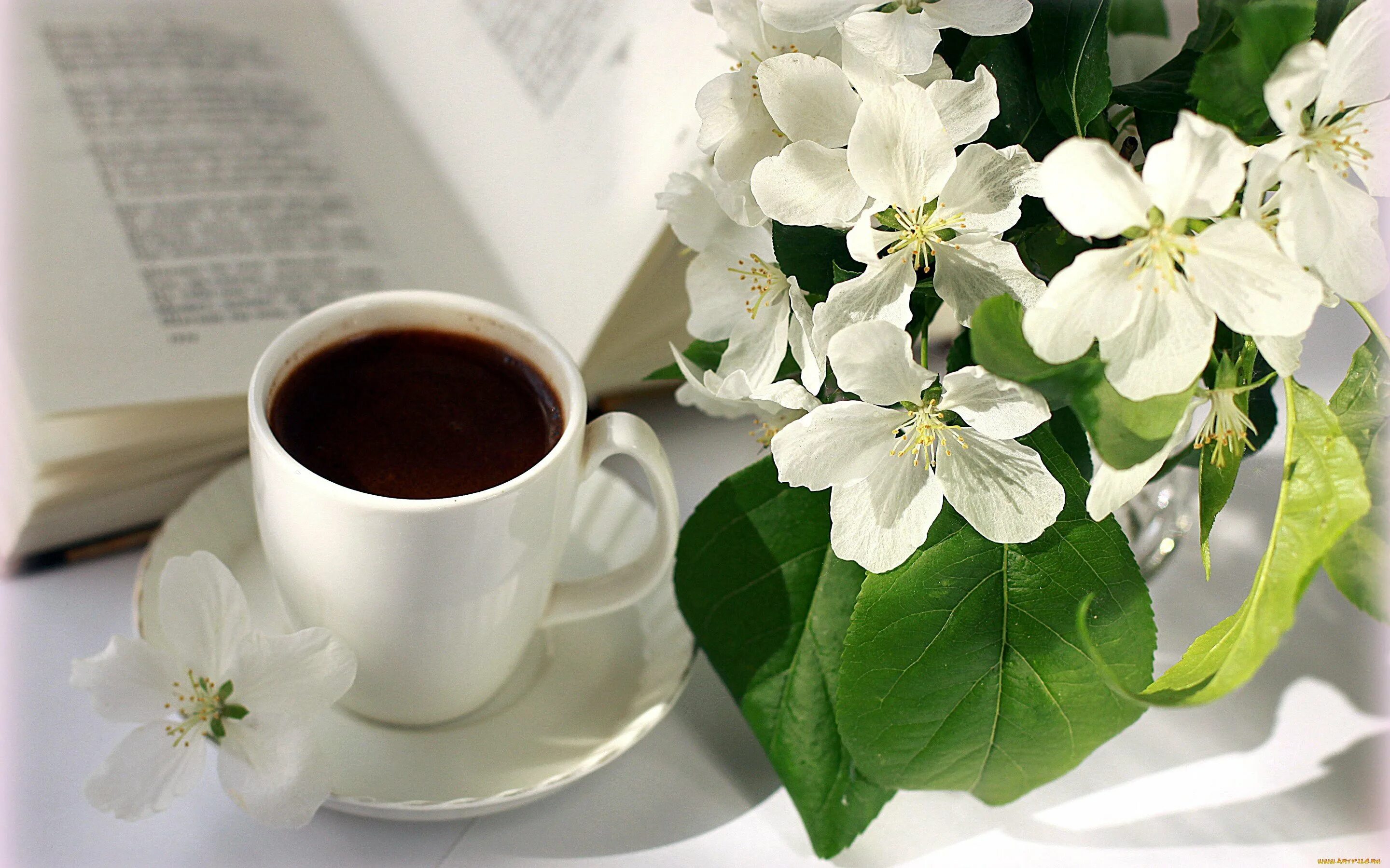 Весенний чай картинки. Кофе и цветы. Доброе Весеннее утро с кофе и цветами. Кофе с цветами.