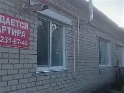 Новые зори алтайский