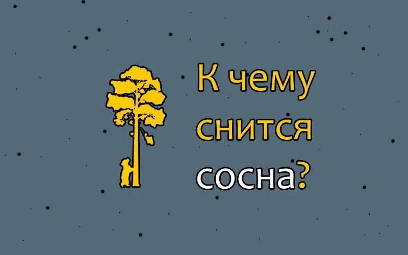 К чему снятся сосны. Сосна обыкновенная pinus sylvestris. Корабельные сосны зимой. Сонник сосны молодые. Сосны во сне.
