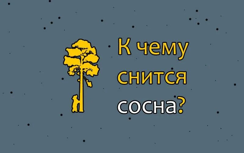 Хвойные сны