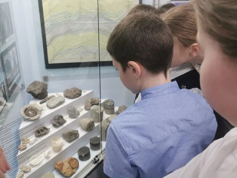 Сарапульский музей-заповедник. Рапенкова светлана соловецкий морской музей. Музей освоения севера. Музей освоения севера губкинский. Музей освоения севера губкинский.