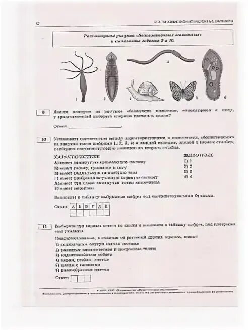 Вариант биология 2023. Вариант биология 2023. Егэ по истории 2023. Огэ биология 2023. Вариант биология 2023.