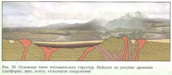 Типы тектонических структур. Основные тектонические структуры. Строение древней платформы. Тектоническая основа рельефа России. На щитах древних платформ формируются