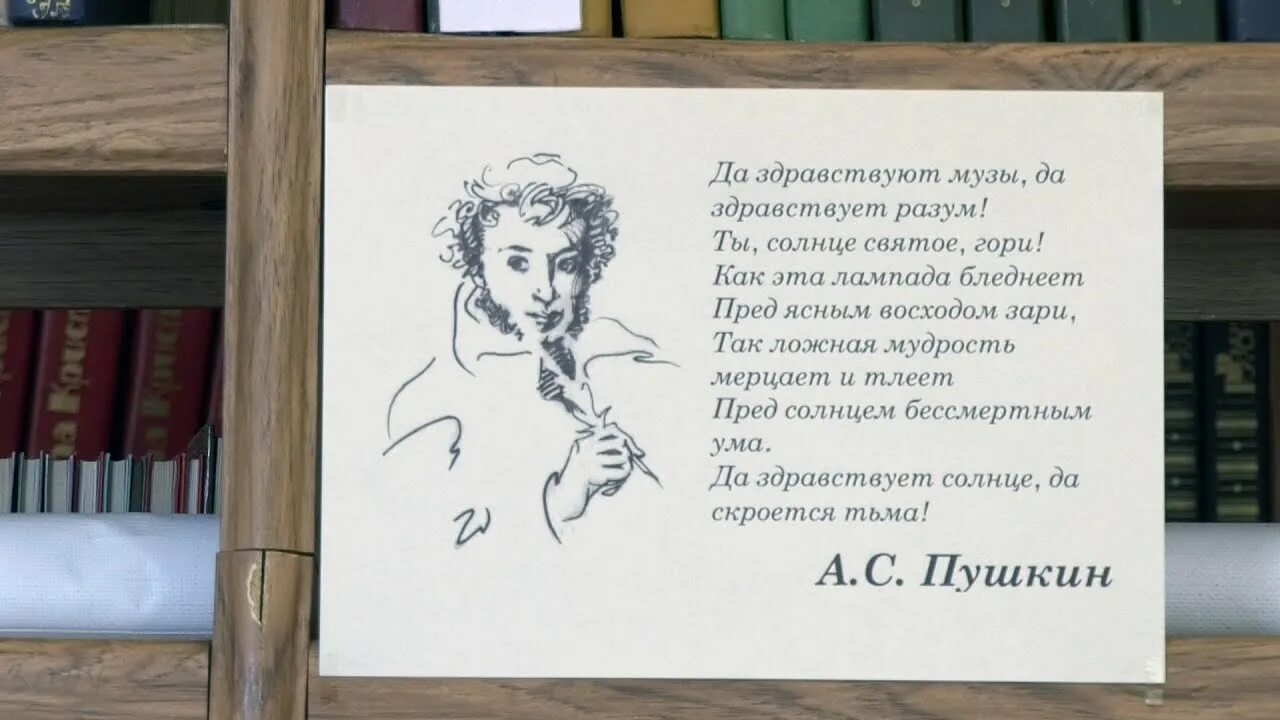 Пушкинский парк касимов. Декорации для детского сада пушкинский день. 6 июня день пушкина. Парк сказки пушкина боровск. Праздник пушкина в парке.