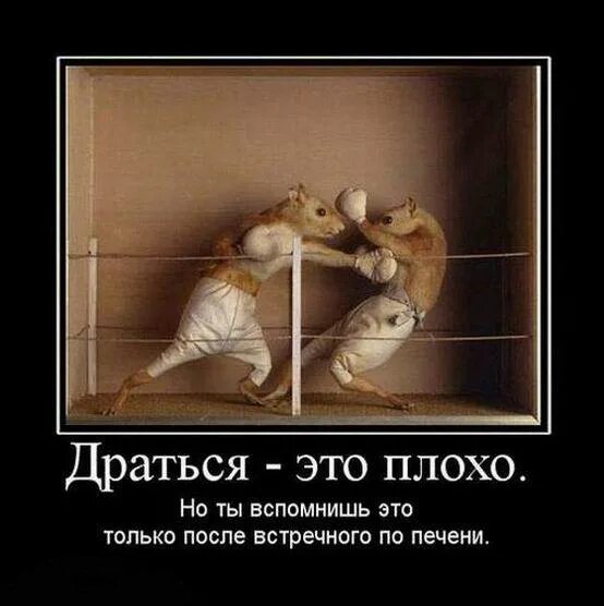 Почему плохо воюем