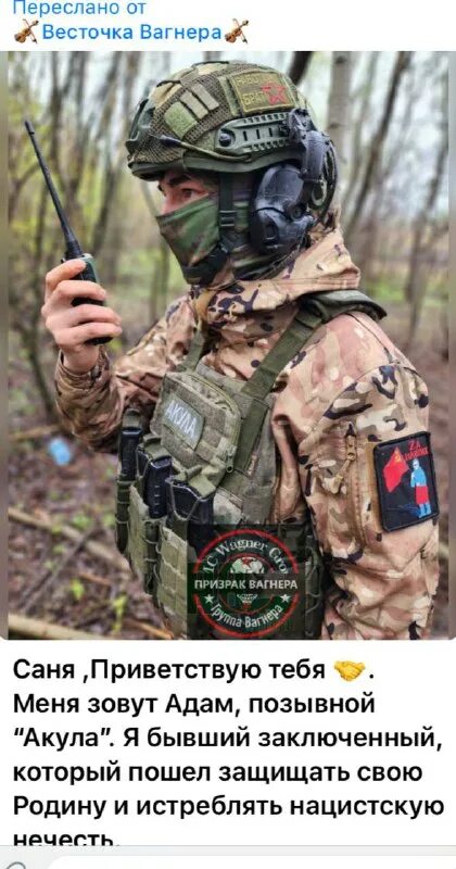 позывной акула