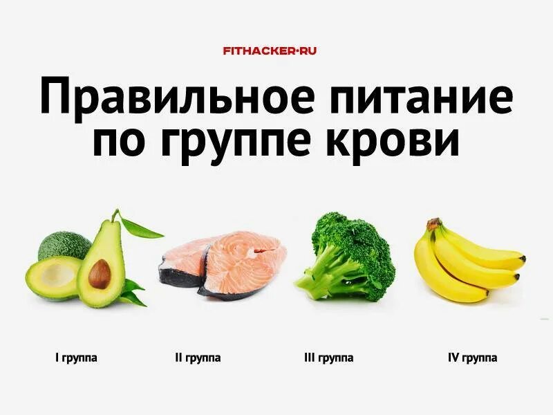 Группы питания людей