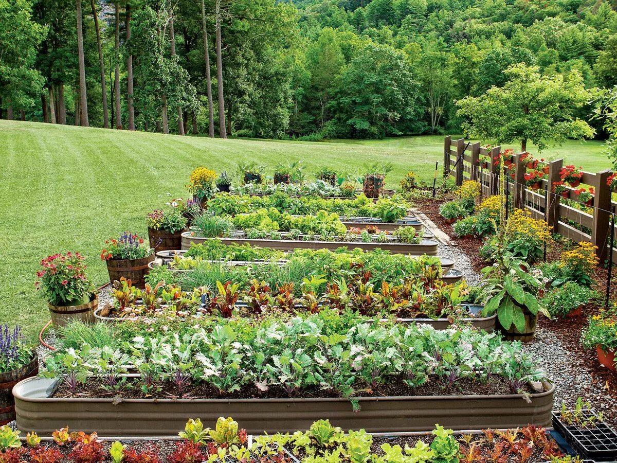 Kitchen garden перевод. Грядки-клумбы мавританский дворик. ЕВРООГОРОД грядки. Куртины цветочные грядки клумбы.