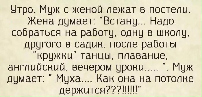 Анекдот про муху на потолке и мужа с женой. Анекдот про мужа и жену Муха на потолке. Муха на потолке как она держится анекдот. Анекдоты про мужа и жену в постели. Жена муха