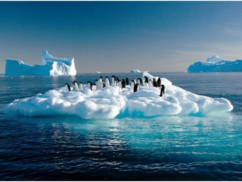 Потепление климата таяние ледников. Таяние ледников в Арктике. Таяние ледников в Антарктиде. Парниковый эффект таяние ледников.