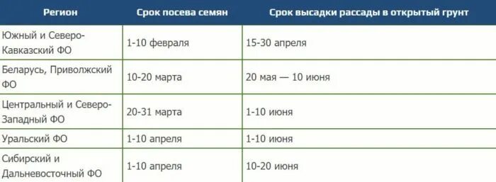 Пересадка рассады томатов в апреле 2024 благоприятные. Благоприятные дни для посадки томатов в 2023. Благоприятные дни для рассады в феврале 2023. Благоприятные дни для пересадки томатов в теплицу. Помидоры сажать на рассаду в 2023.