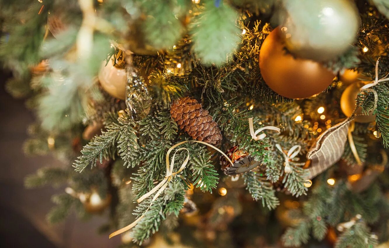 елка на черном фоне. елка без фона. новогодние шары на елке. елочка золо. украшение елки фольги.