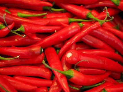 Chilly pepper