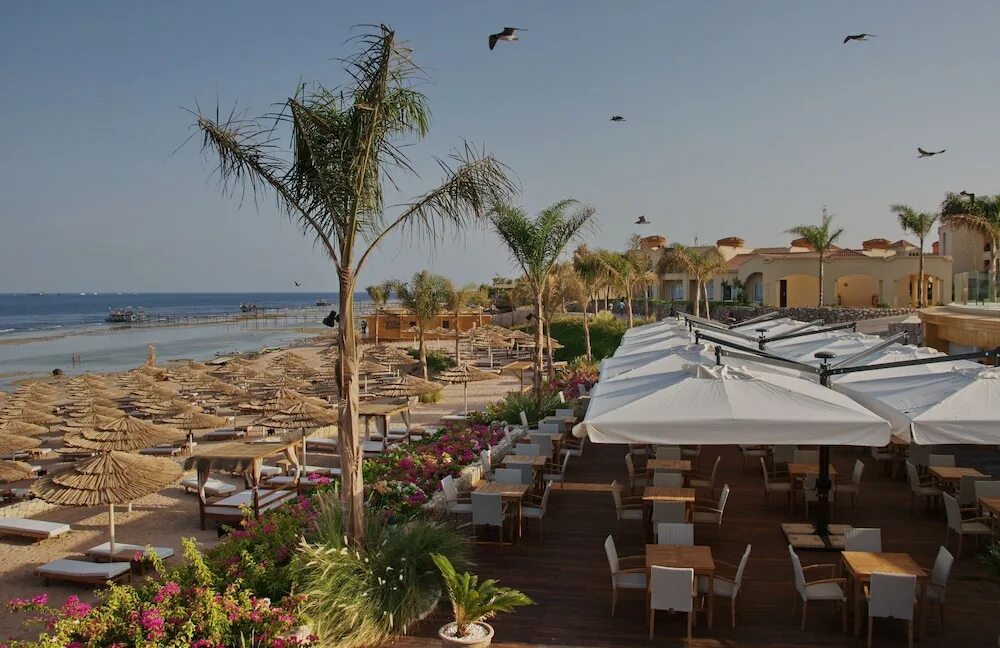 отель cleopatra luxury resort sharm el sheikh 5*. отель cleopatra luxury resort sharm. отель клеопатра египет. клеопатра шарм-эль-шейх 5. египет клеопатра лакшери.