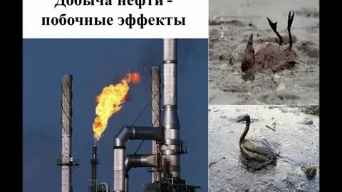 Нефть проводить