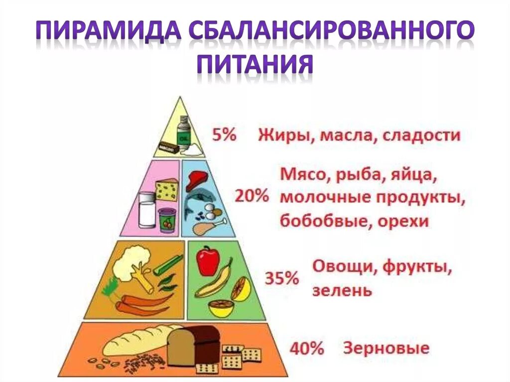 Составляющие части пищи. Пищевая пирамида питания здорового питания для детей. Схема пирамиды здорового питания. Пирамида питания здорового человека в процентах. Пирамида рационального питания.