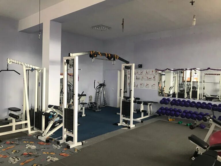 багира красноярск зал. острякова 110 севастополь. тренажерные залы севастополь. тренажерные залы севастополь. Safari sport севастополь.