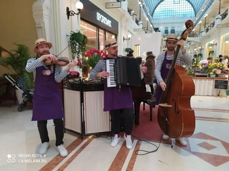 Петровский пассаж выставка. Петровский Пассаж Москва Цветочная ярмарка. Выставка цветов в Петровском Пассаже. Петровский Пассаж Москва выставка цветов. Выставка цветов в Пассаже в Москве.