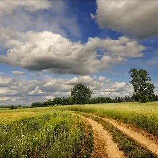 Красивые слова о русском поле