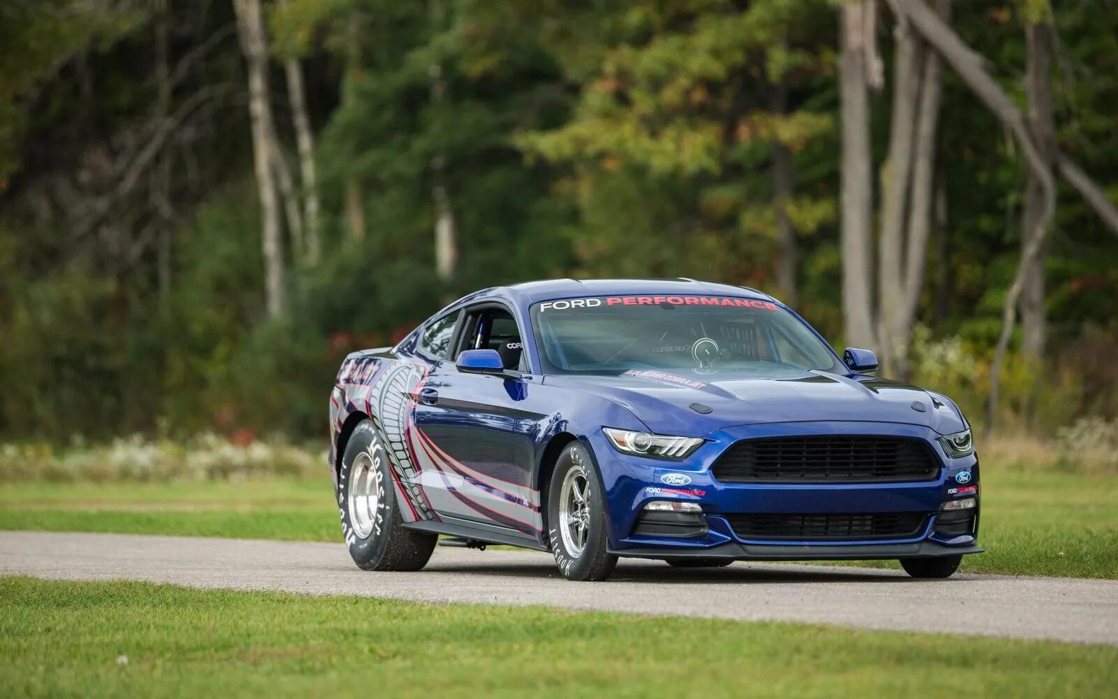 Форд мустанг кобра. Форд Мустанг 2016. Ford Mustang 2016. Ford Mustang Cobra Jet.