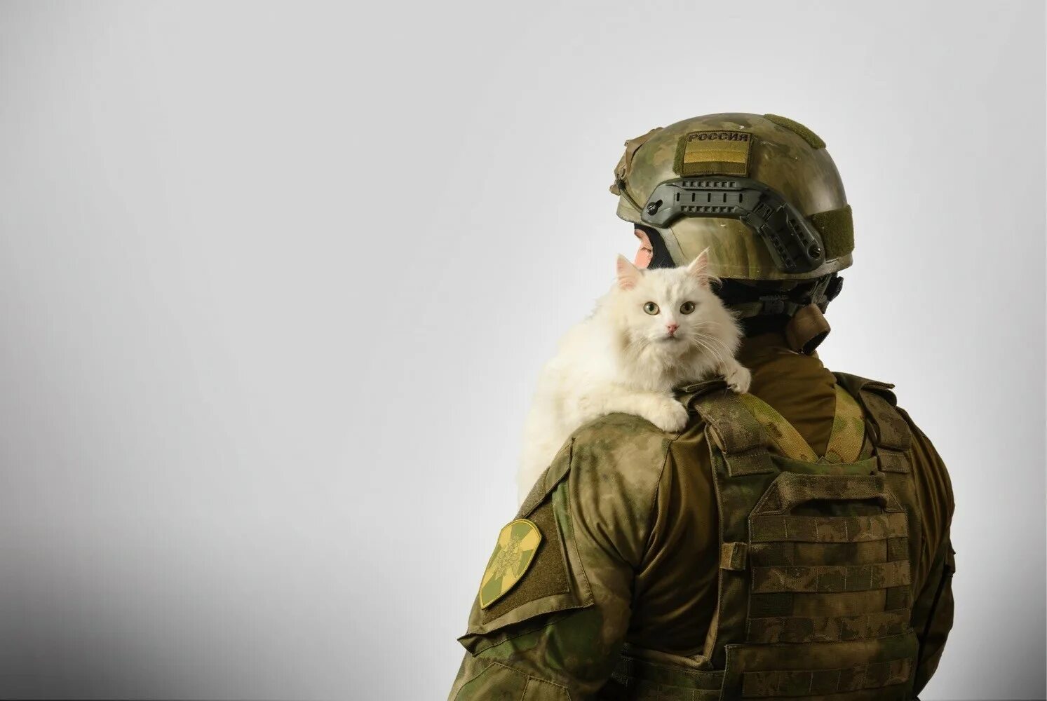 Army cat
