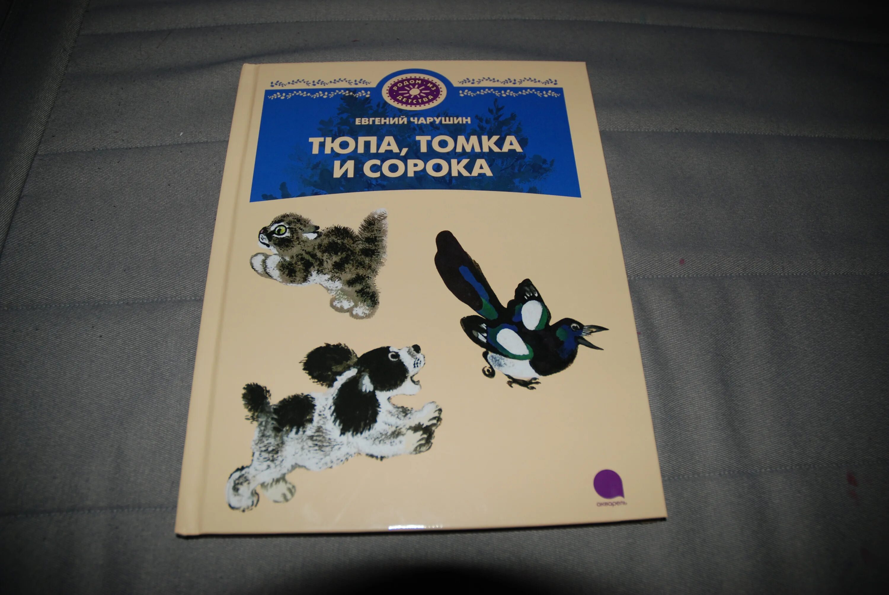 11 40 читать. Чарушин иллюстрации Тюпа. Тюпа и Томка книга. Тюпа, Томка и сорока.