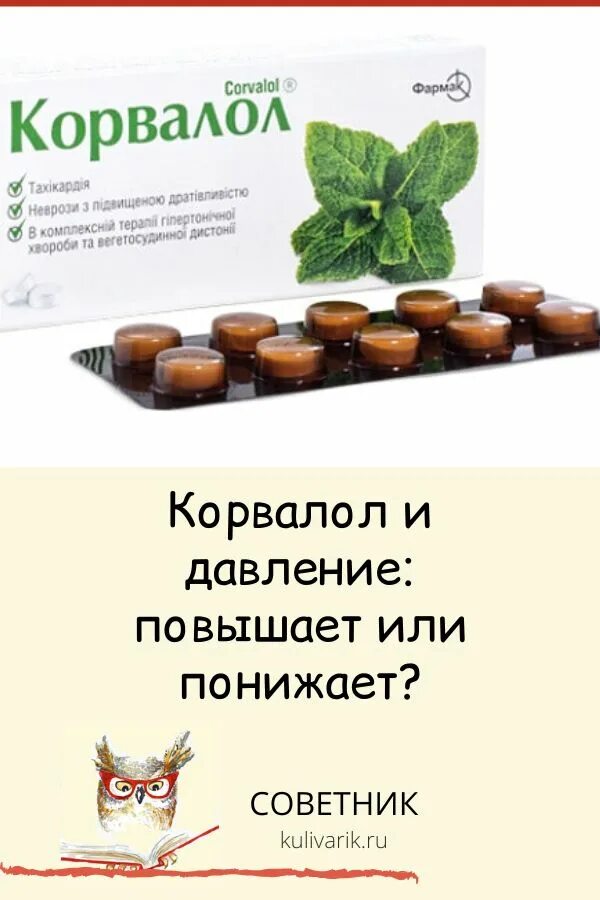 Корвалол капли понижает давление. Корвалол понижает или повышает. Корвалол повышает или понижает давление. Корвалол снижает давление или повышает. Низкий пульс корвалол можно