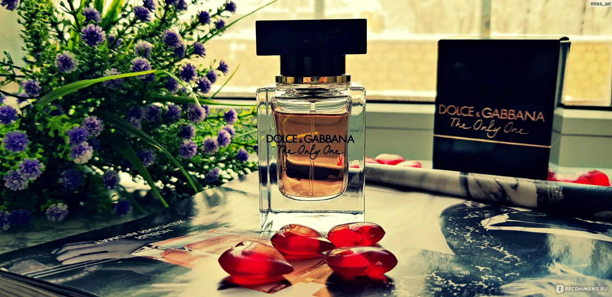 D&G the only one Дольче Габбана. Парфюмированная вода Dolce& Gabbana the only one, 50 мл. Дольче Габбана зе Ван 50 мл. Дольче Габбана новинка. Gabbana the only one женские