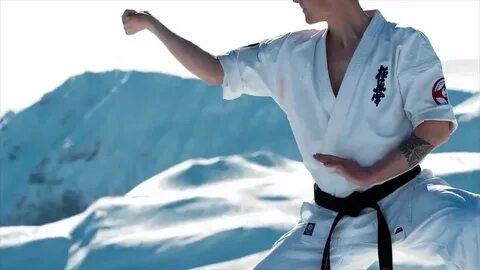 Каратэ киокушинкай видео бои