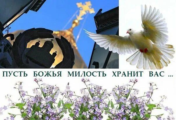 Божьей помощи. Милости божией вам. Человек молится в храме. Милости божией картинки. Открытки о божьей милости.