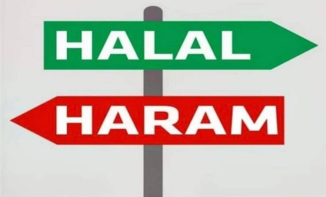 Харам е. Халяль и харам. halal или haram. павлина халяль харам. крыса харам или халяль.