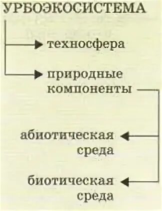 Урбоэкосистема