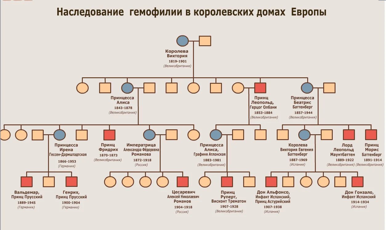 Генеалогический метод наследование гемофилии. Генеалогическое Древо Николая 2. наследование гемофилии. Родословная королевы Виктории наследование гемофилии. Генеалогическое дерево царской семьи гемофилия. Гемофилия глаза