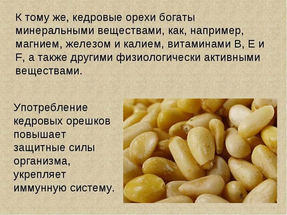 Ядро кедрового ореха полезные свойства. Кидрой охре х. Ядро кедрового ореха полезные свойства. Ядро кедрового ореха полезные свойства. Сибирский кедровый орех.