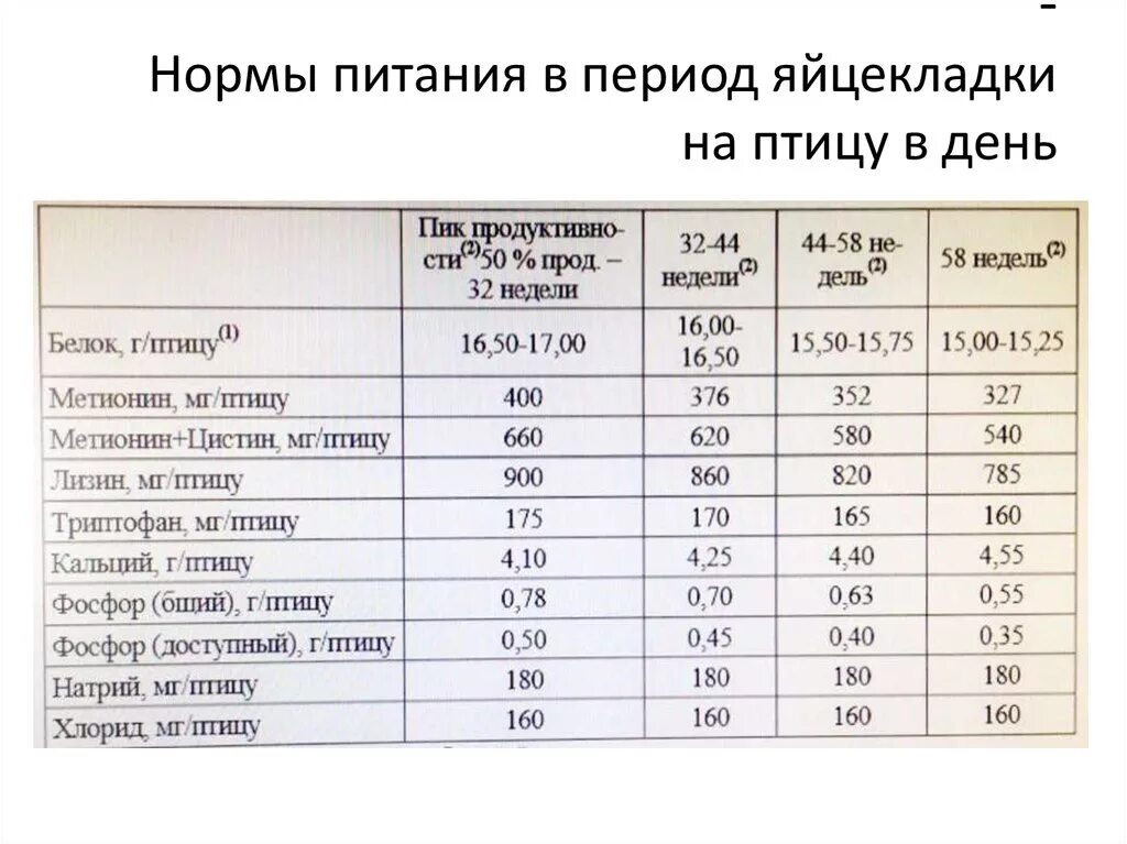 Нормы кормления птицы. Норма корма для птицы. Нормы и рационы для птиц. Нормы питания птиц. Количество норм питания