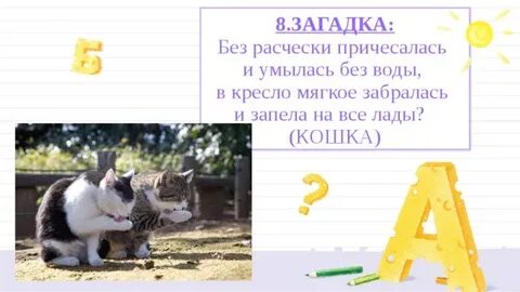 Кошка синоним
