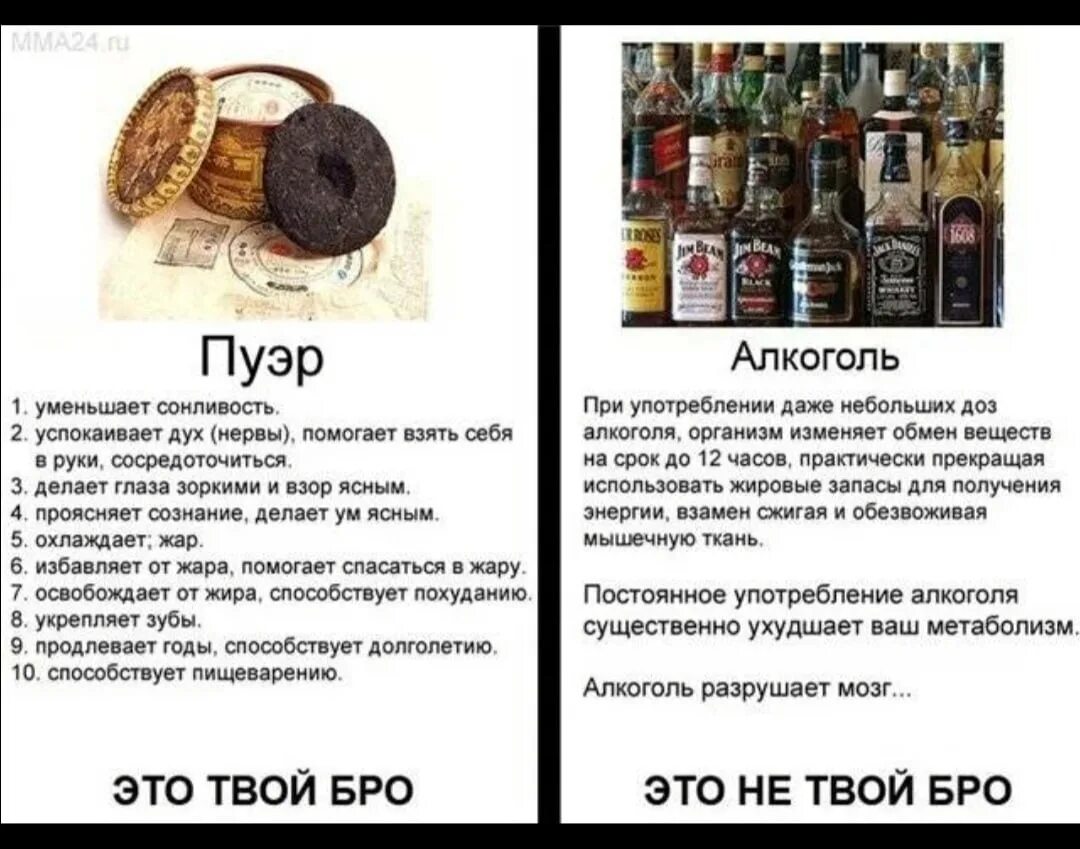 Нормально чай пью. Пуэр алкоголь. шутки про пуэр. пуэр приколы. пуэр чай приколы.