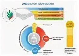 Правозащитная деятельность профсоюзов. Виды правозащитной деятельности. Правозащитная деятельность профсоюза образования. Правозащитная деятельность это определение. Органы правозащитной деятельности