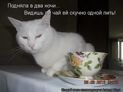 Выпил чаю не скучаю